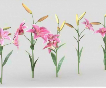 Modern Flowers And Grass-ID:227823974