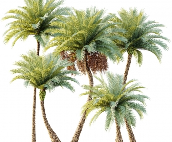 Modern Tree-ID:224649967