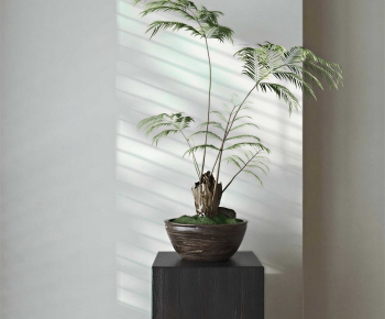 New Chinese Style Bonsai-ID:376050568