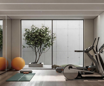 Modern Home Fitness Room-ID:252701044