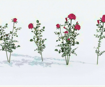 Modern Flowers And Grass-ID:635540965