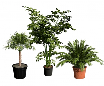 Modern Ground Green Plant Potted Plants-ID:787909033