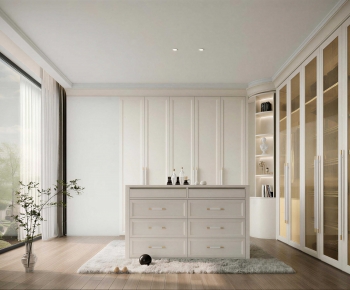 Modern Clothes Storage Area-ID:211560966