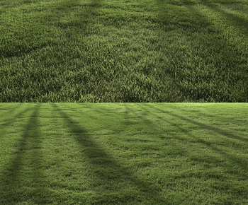 Modern The Grass-ID:759838104