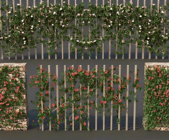 Modern Vine-ID:245480061