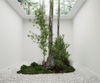 Japanese Style Plant Landscaping-ID:559885983