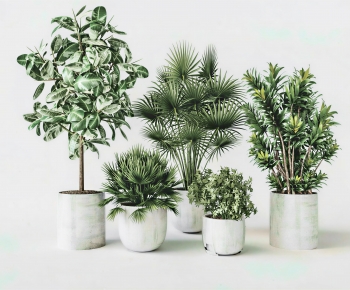 Modern Ground Green Plant Potted Plants-ID:821829082