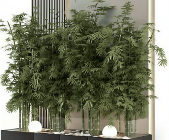 Modern Plant Landscaping-ID:175714026