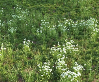 Modern Flowers And Grass-ID:916768078