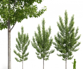 Modern Tree-ID:654358938