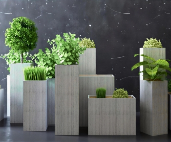 Modern Ground Green Plant Potted Plants-ID:631539814