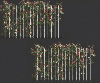 Modern Vine-ID:238801001
