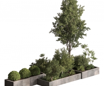 Modern Plant Pile-ID:557630068