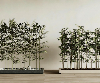Modern Plant Landscaping-ID:621104004