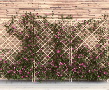 Modern Vine-ID:375030055