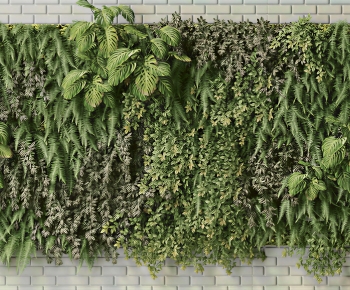 Modern Plant Wall-ID:868901017