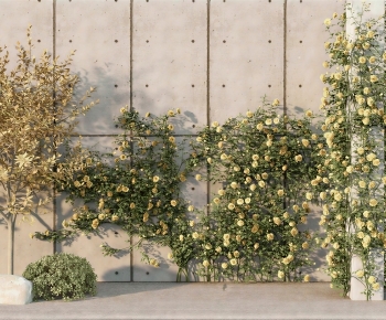 Modern Vine-ID:210954906