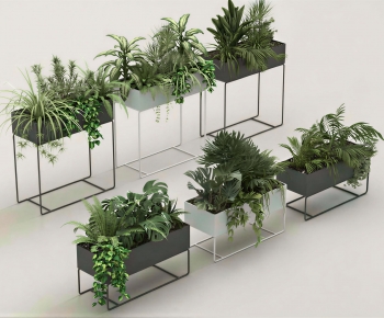 Modern Flower Bed, Flower Bowl, Flower Box-ID:605928922