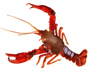 Modern Aquatic Product-ID:525862936