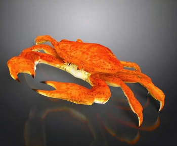 Modern Aquatic Animals-ID:431376935