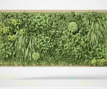 Modern Plant Wall-ID:682765963