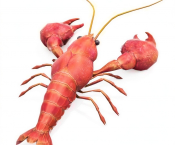 Modern Aquatic Product-ID:682620058