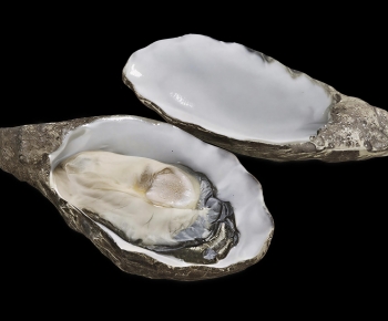 Modern Aquatic Product-ID:846900977