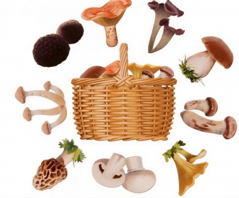 Modern Vegetables-ID:451513058