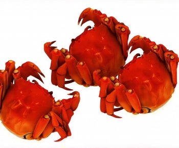 Modern Aquatic Product-ID:112663035