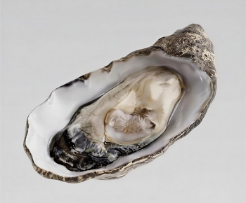 Modern Aquatic Product-ID:368736981