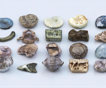 Modern Stone-ID:664515026