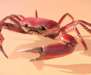 Modern Aquatic Product-ID:455238103