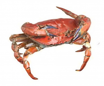 Modern Aquatic Product-ID:628891945