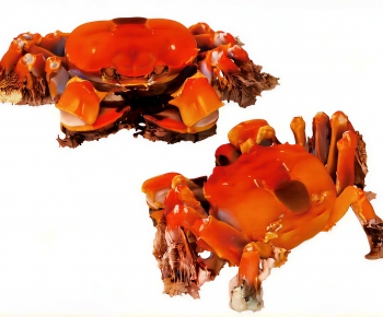 Modern Aquatic Product-ID:756658085