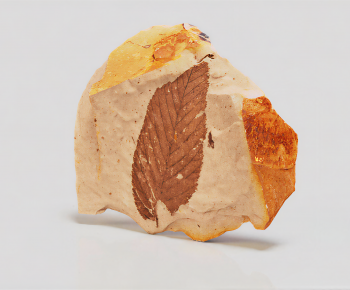 Modern Stone-ID:876000886