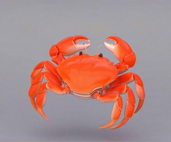 Modern Aquatic Product-ID:688566929