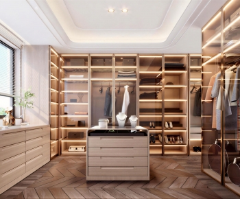 Modern Clothes Storage Area-ID:769342902