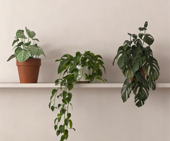 Modern Desktop Plant-ID:634283073