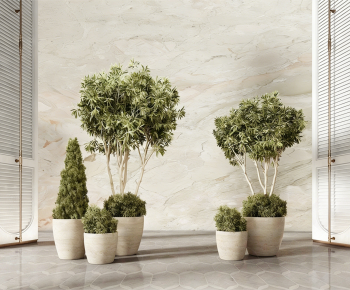 Modern Ground Green Plant Potted Plants-ID:541508919