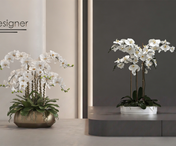 Modern Bonsai-ID:488760955