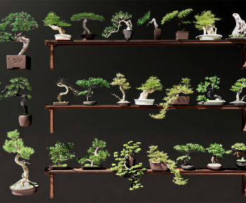 New Chinese Style Bonsai-ID:461379059