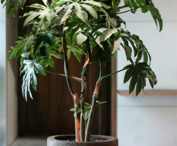 Modern Ground Green Plant Potted Plants-ID:885339029