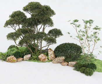 Modern Plant Pile-ID:789752012