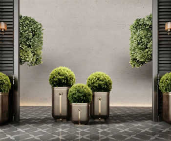 Modern Ground Green Plant Potted Plants-ID:581681011