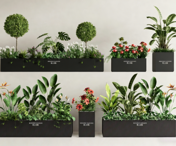 Modern Flower Bed, Flower Bowl, Flower Box-ID:675276046