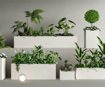Modern Flower Bed, Flower Bowl, Flower Box-ID:802262075