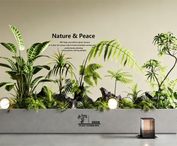 Modern Flower Bed, Flower Bowl, Flower Box-ID:912591933