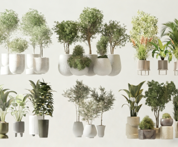 Modern Ground Green Plant Potted Plants-ID:847346079