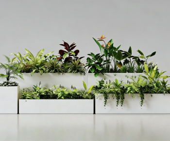 Modern Flower Bed, Flower Bowl, Flower Box-ID:868319033