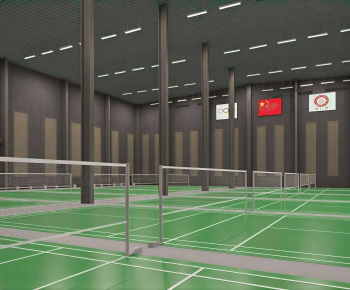 Modern Indoor Badminton Court-ID:865113027